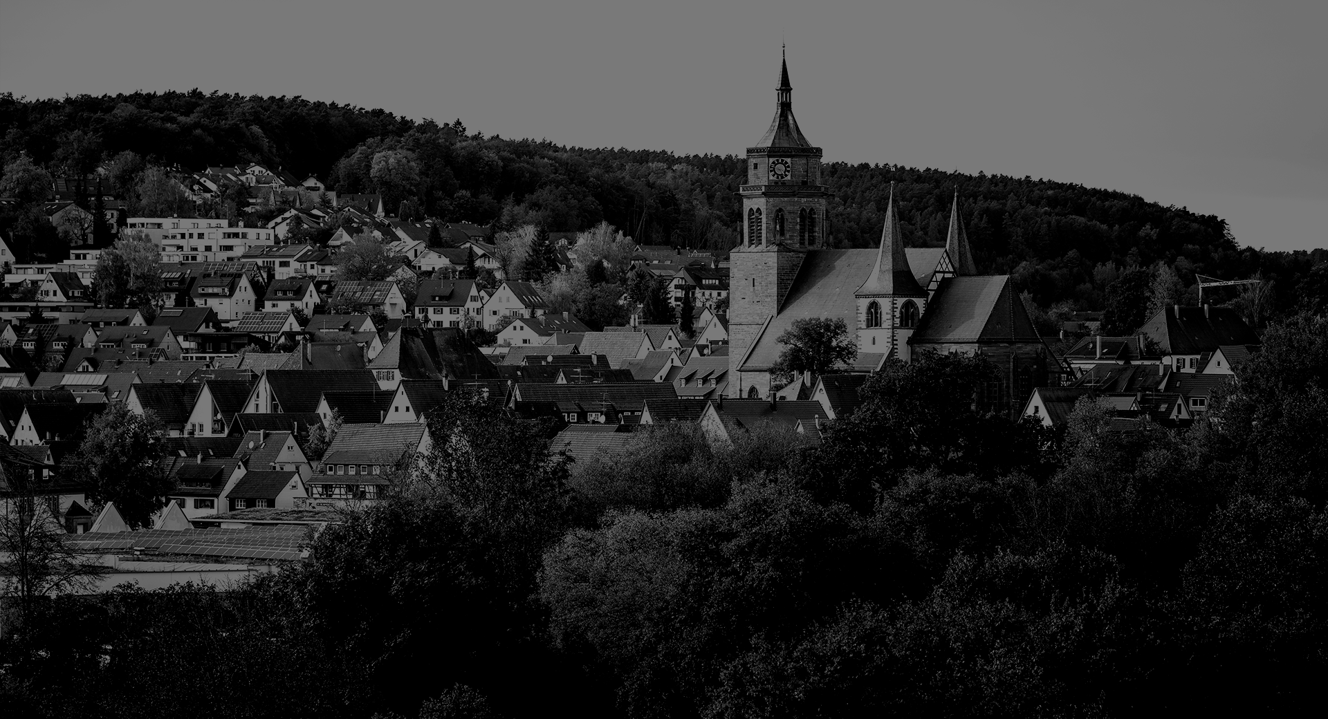 Orange_Cat_Media_Banner_Weil_der_Stadt_slider_1 Orange Cat Media Main Slider 2