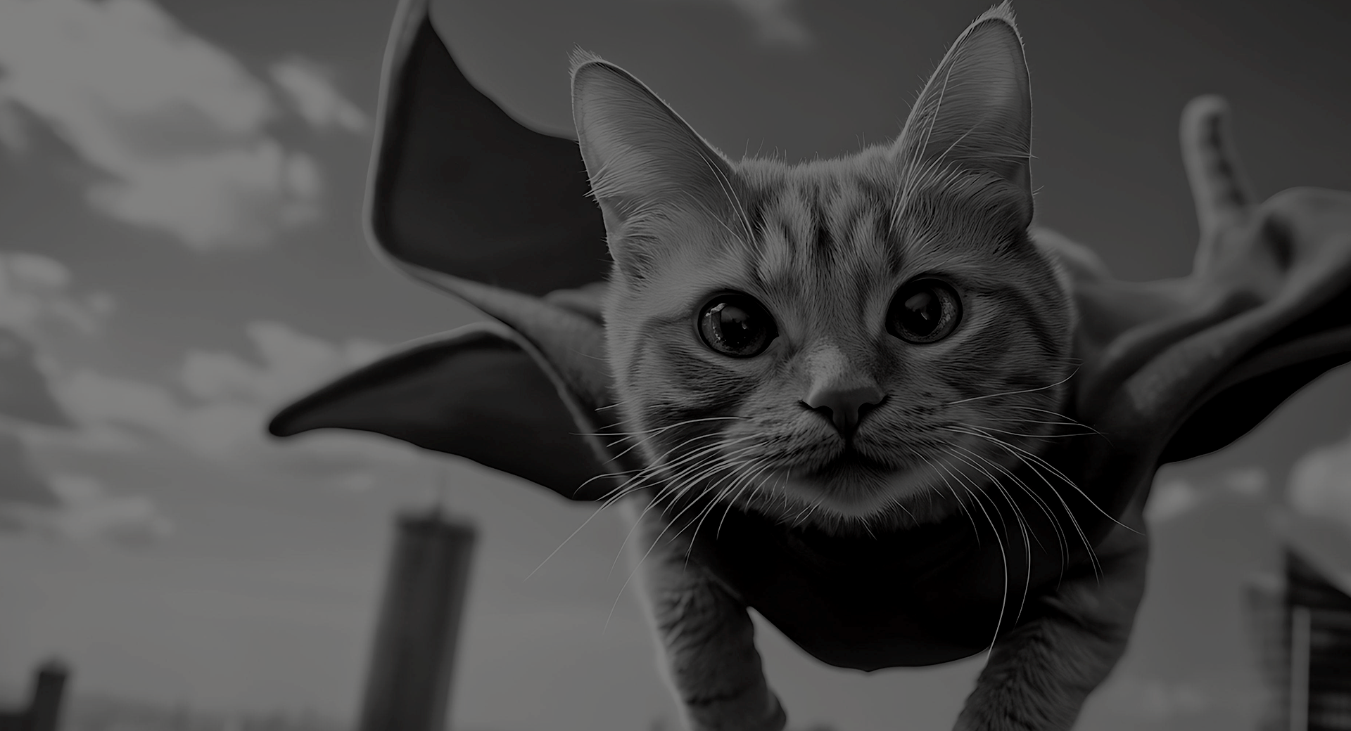 Orange_Cat_Media_Banner_Willkommen_slider_2 Orange Cat Media Main Slider