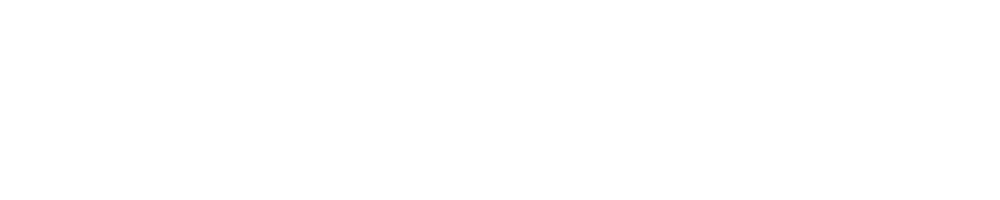 2025_orange_cat_media_white_long_300x60px